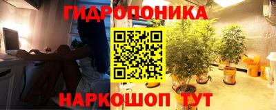 ECSTASY Заводоуковск
